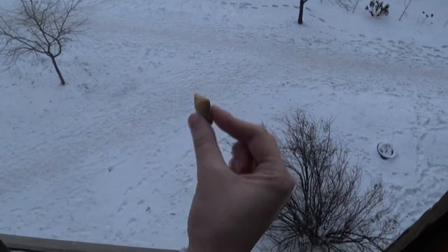 ОЧЕНЬ КРУТАЯ ОБРАТНАЯ ПЕРЕМОТКА | REVERSE смотреть онлайн