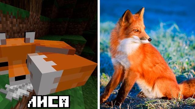 Мобы Из Minecraft в Реальной Жизни #1 смотреть онлайн