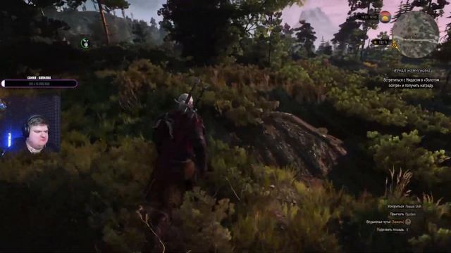 ВЕЧЕРНИЙ "ВОЗЬМАК", СОБИРАЕМ ДОСПЕХИ И НОСТАЛЬГИРУЕМ ВЕДЬМАК 3 \zZz/ THE WITCHER 3: WILD HUNT смотреть онлайн