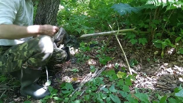 ЕСТЬ ЕЩЁ ЖЕНЬШЕНЬ В ПРИМОРСКОЙ УССУРИЙСКОЙ ТАЙГЕ. Дикорастущий женьшень Рanax. смотреть онлайн