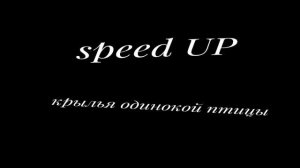 крылья одинокой птицы speed UP