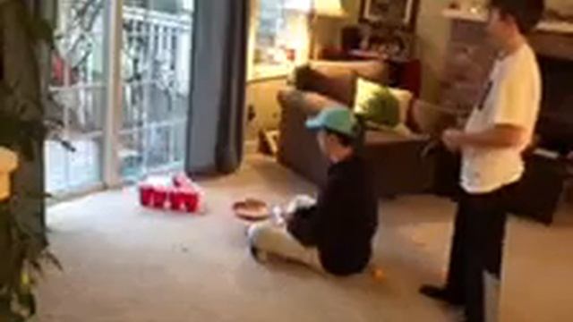 Ping pong Trickshots 2!! смотреть онлайн
