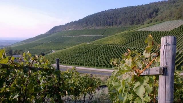 Как победить гнев смотреть онлайн