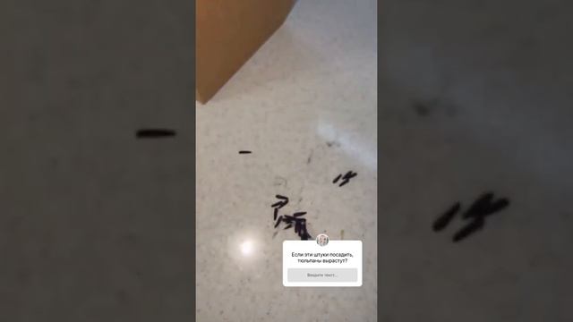 ХЕДЕ ПОДАРИЛИ ЦВЕТОЧКИ 🥰💓ОНА ПОСОВЕТОВАЛА МАГАЗИИН МЕБЕЛИ смотреть онлайн