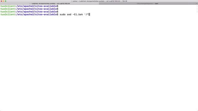 Master Regular Expressions Using sed смотреть онлайн