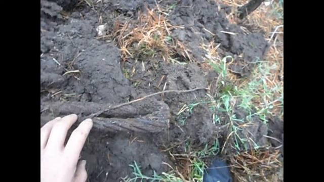 Что можно найти на краю поля? Коп с мд-4030 смотреть онлайн