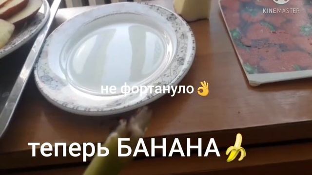 НАРЕЗКА ФРУКТОВ?ОГРОМНЫЕ ЯБЛОКИ???? смотреть онлайн