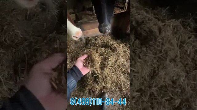 Кормораздатчики CELIKEL, производство Турция. смотреть онлайн