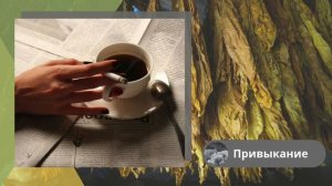 Лекция 4. Никотиновая зависимость