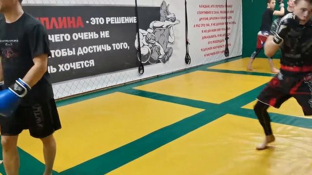 бск Хортич бокс тренировка. 8 февраля 2022 года. смотреть онлайн