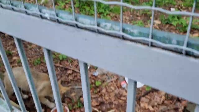 Стикмен Воры смотреть онлайн