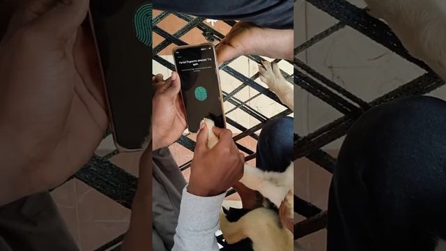 Will Work or not?||Indisplay Fingerprint scanner works on cat?&Dog??Paw??? смотреть онлайн