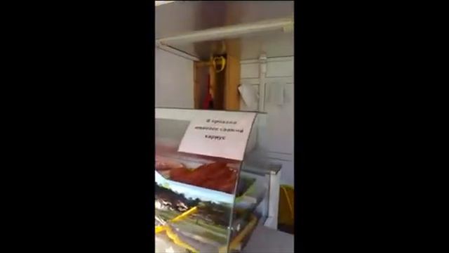 100500 Чувак Спалил Кухню Кипящим Маслом смотреть онлайн
