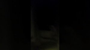 Трубка звук домофон VIZIT SM-101R