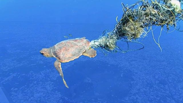 Plastic continent in Pacific Ocean - The Great Pacific Garbage Patch смотреть онлайн