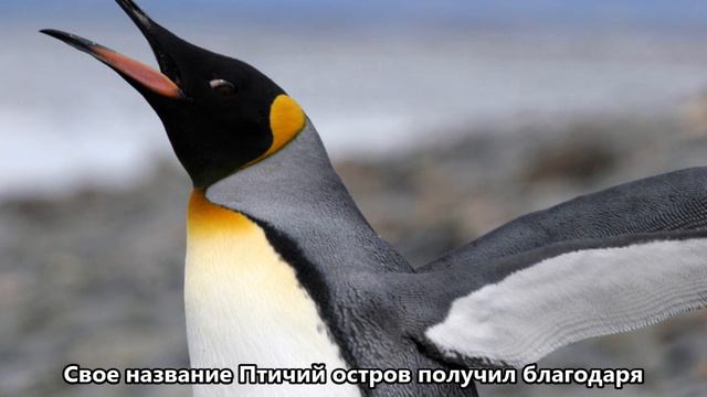 VP8SGK Южная Георгия. С сайта dxing.at-communication.com смотреть онлайн