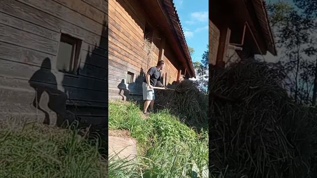 городской в деревне