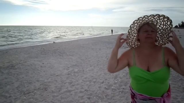 Осторожно, здесь выводятся черепахи. Горячая вода в Мексиканском заливе..