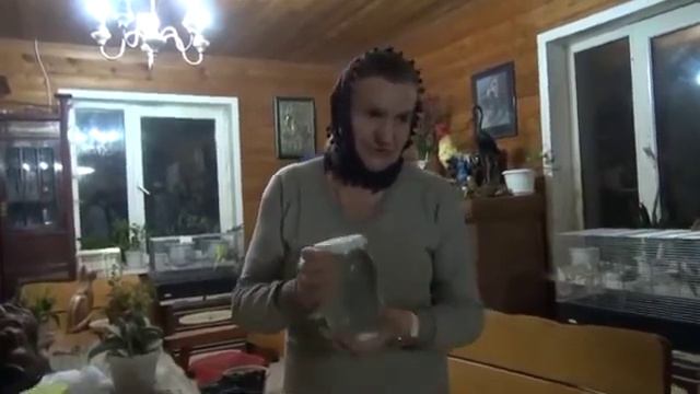 О лечении  медным купоросом