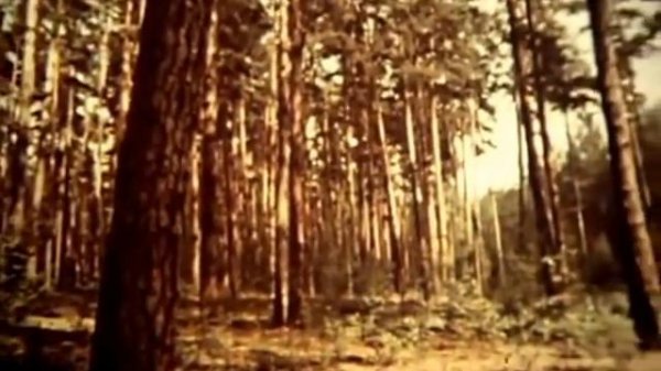 Природные сообщества