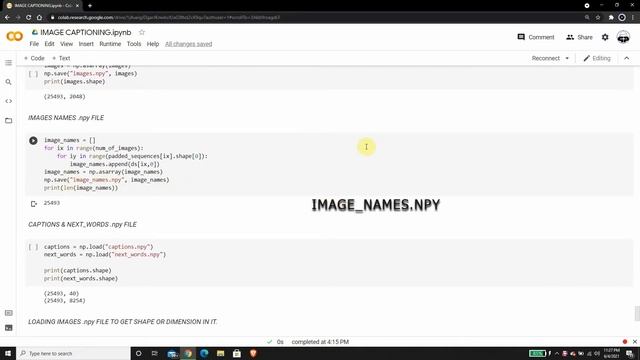 FINAL NUMPY FILES | IMAGE CAPTIONING | DEEP LEARNING | NLP смотреть онлайн