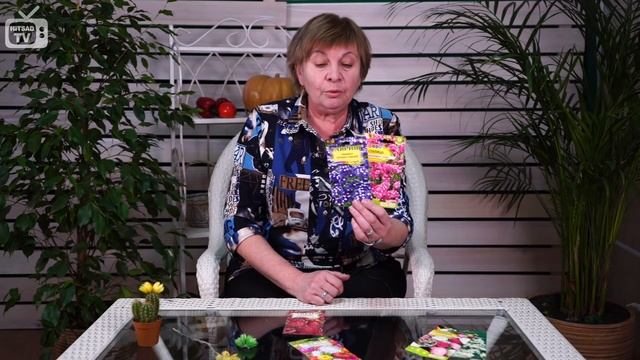 Из чего сделать букет зимой? ? Бессмертники и сухоцветы флористика сад огород смотреть онлайн
