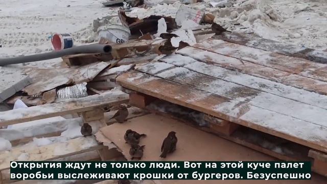 «Макдональдс» не открыли 22.11.2020 смотреть онлайн