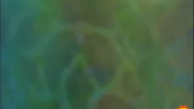 Oddworld Munch's Oddysee - Old Gameplay Videos and Beta Stuff (GameSpot) смотреть онлайн
