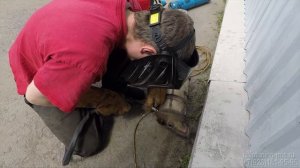 Сажевый фильтр Актион - отключение и физическое удаление. SsangYong Actyon NEW 2.0D