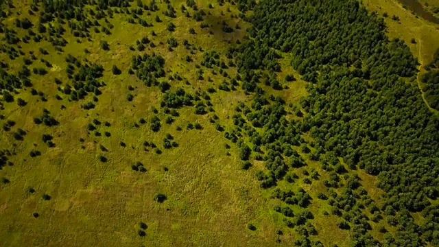 Mavic Pro Platinum Съёмка участка Тимшино смотреть онлайн
