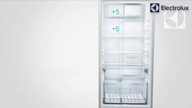 Отдельно стоящий холодильник с малой морозильной камерой FrostFree Серия 600 200.5 см A++ EN3854NOX смотреть онлайн
