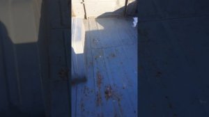 прицеп ММЗ 81024 капсула времен  33гадо отроду