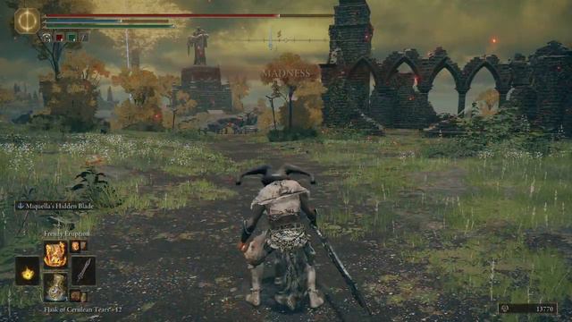 All New Madness Incantations In Elden Ring The Garden Of Eyes Mod Showcased смотреть онлайн