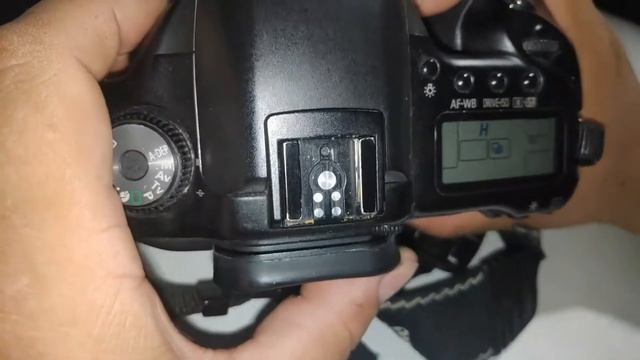 Обзор Canon EOS 10D смотреть онлайн