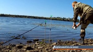 Лещ на фидер с берега  Рыбалка в Пскове