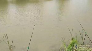 Рыбалка, Ставропольский край, Лесные озёра, с. Суворовская, малый пруд. Рыбалка и отдых с семьёй.