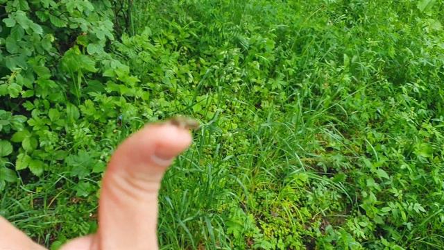 Каждую неделю я бегу и не только ради похудения смотреть онлайн
