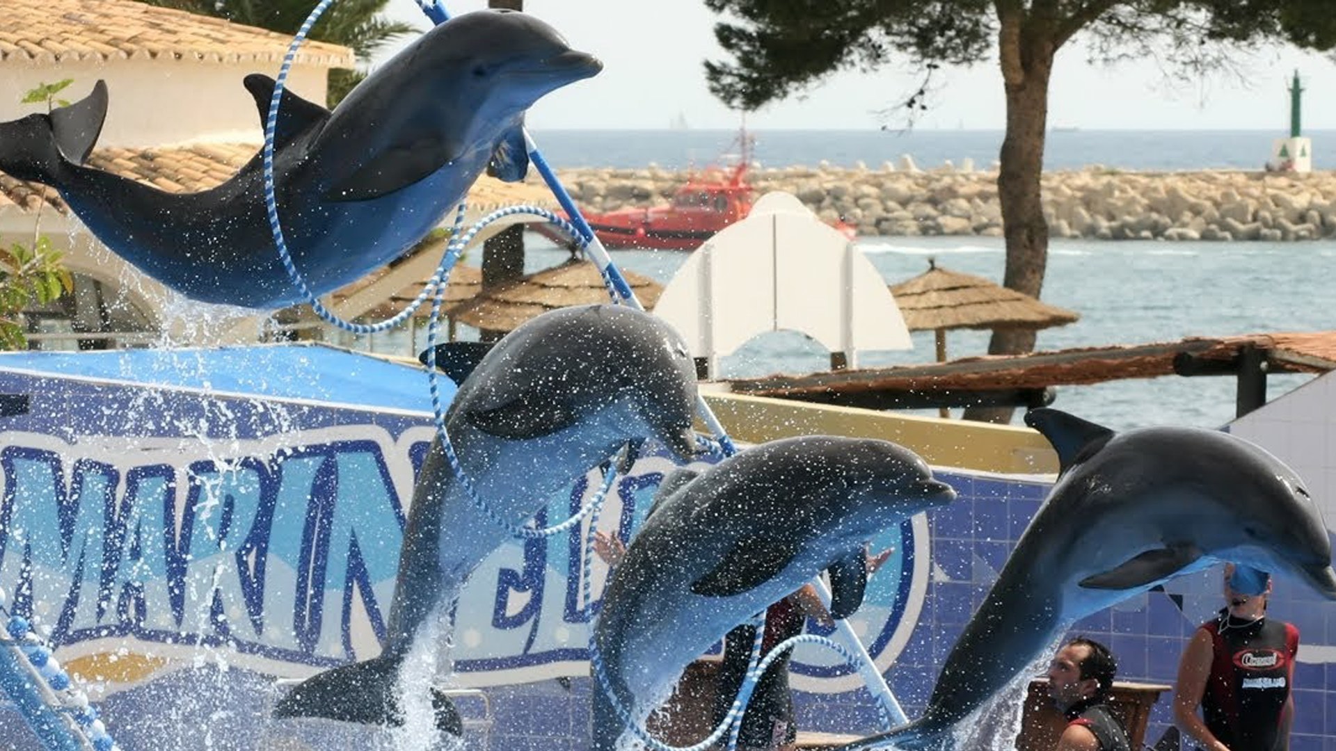 Обзор дельфинария «Маринлэнд» (Marineland) в Пуэрто Порталс на острове Майорка. Испания смотреть онлайн