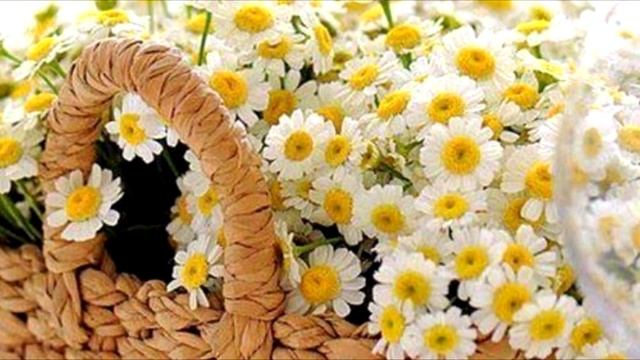 Стыдно брать деньги. Что делать, если стыдно брать деньги за работу? смотреть онлайн