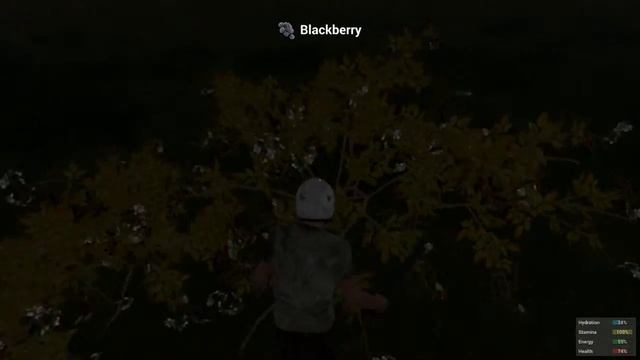 H1Z1: как приготовить ежевичный сок