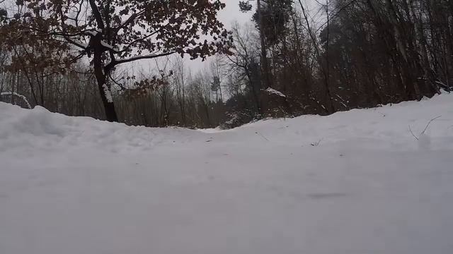 Бег в лесу зимой 6.02.2018