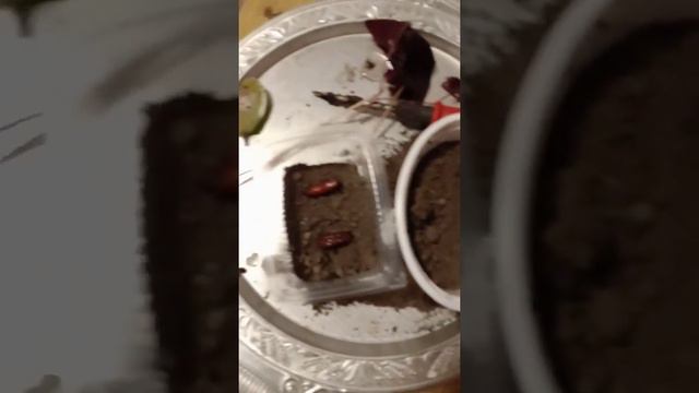 сажаю финики. смотреть онлайн