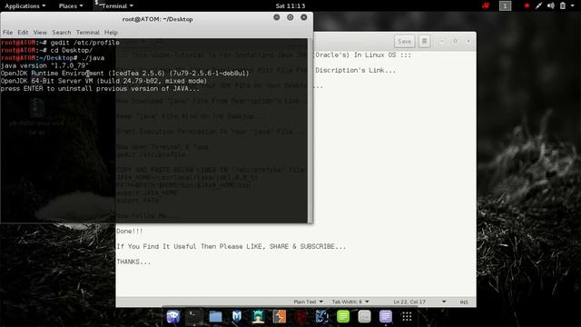 How To Install Oracle Java/JDK in linux x64 In Easy Steps смотреть онлайн