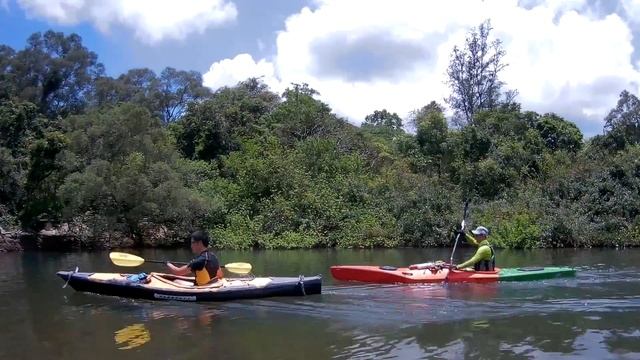 Kayak trip - Point65 Mercury + Pakboat + Hobie Pedal Kayak смотреть онлайн