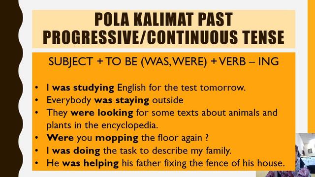 Kelas 9-Past and Past Continuous Tense смотреть онлайн