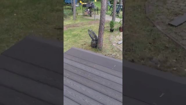 Терраса из ДПК смотреть онлайн