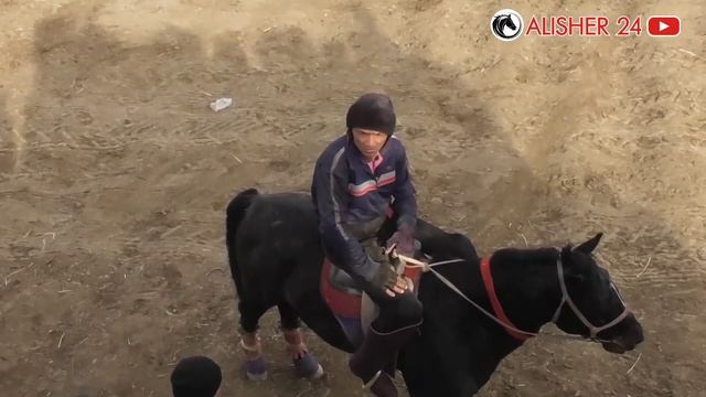 Samarqand Viloyati Urgut Tumani Kõpkarisi (Tôliq Qism) 26.12.2022