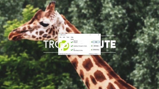 How to: Set up no-ip address for Minecraft & More смотреть онлайн