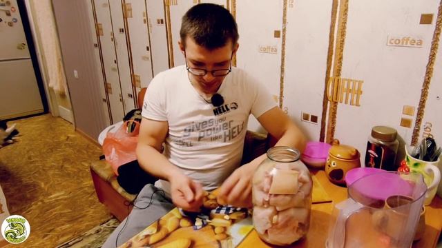 Рецепт сало в рассоле. Сало в банке смотреть онлайн