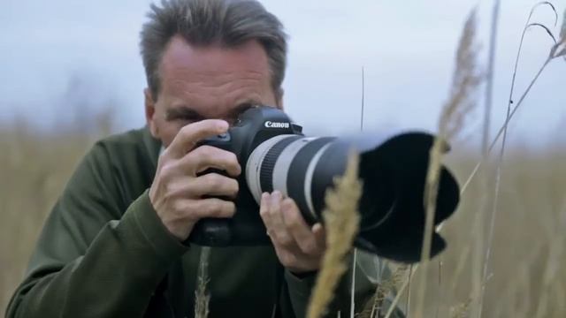 Canon EOS 6D Wildlife & Landscape смотреть онлайн